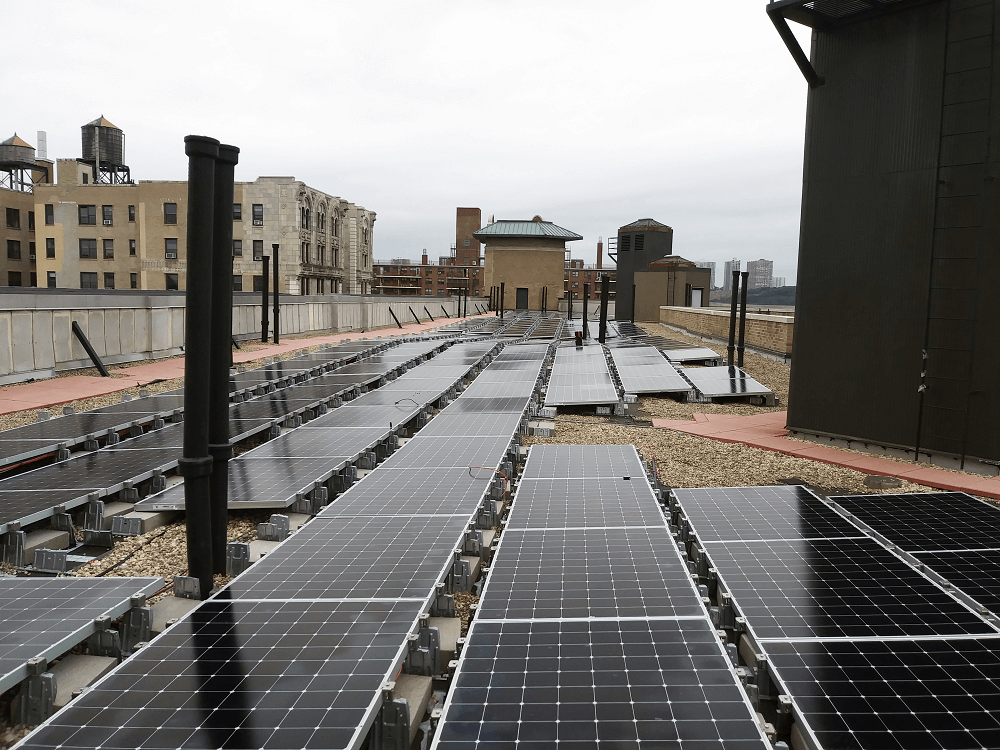 The Greening of the Grinnell Co-op