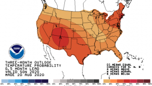 September October November 2020